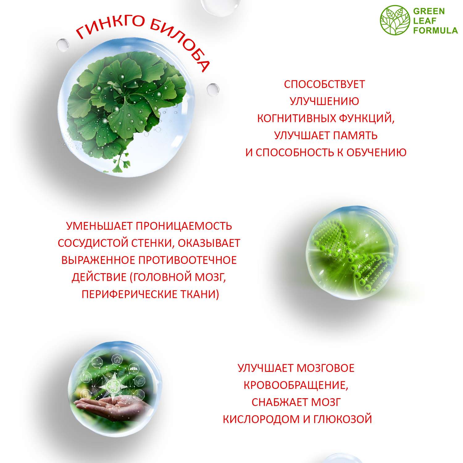 Витамины для памяти Green Leaf Formula мозга и нервной системы триптофан глицин гинкго билоба от стресса 3 банки - фото 6