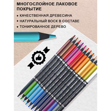 Набор цветных двусторонних карандашей ACMELIAE Blackwood Artmate 12 штук 24 цвета в картонном футляре