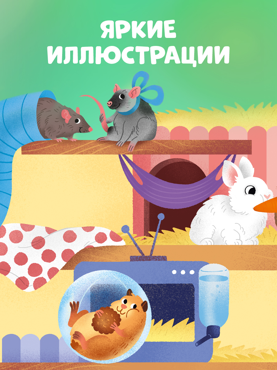 Книга Clever Любимые животные. Энциклопедия с окошками - фото 5