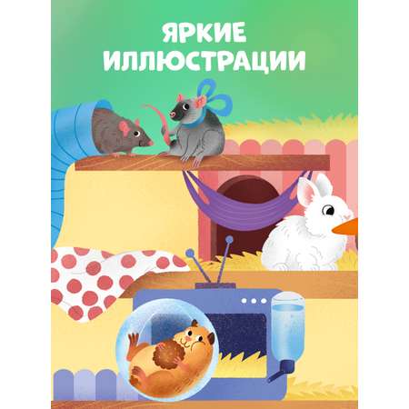 Книга Clever Любимые животные. Энциклопедия с окошками