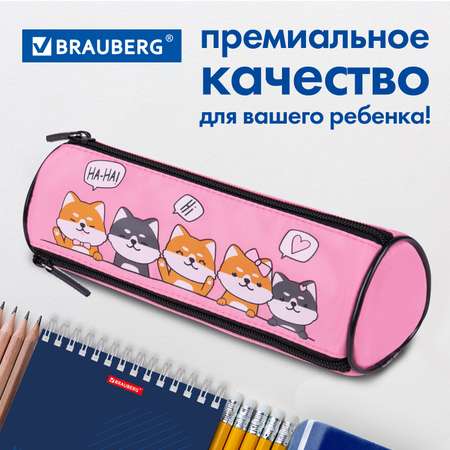 Пенал-косметичка Brauberg 3 отделения Puppies