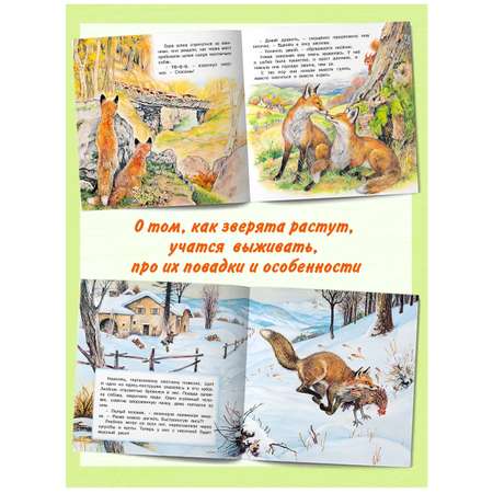 Комплект книг Фламинго Сказки для детей Рассказы о животных Приключения Лисенка Козленка Олененка Щенка