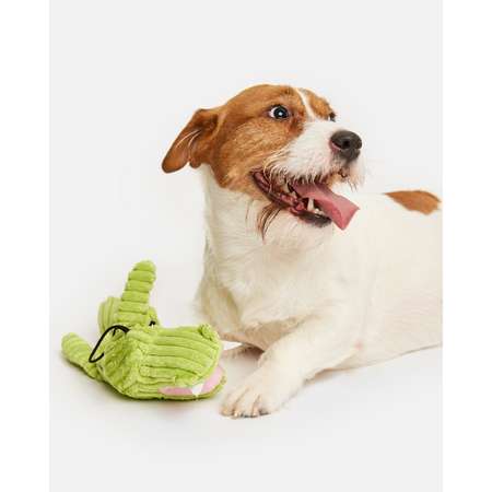 Игрушки для собак – купить игрушку для пса в интернет-магазине, доставка по Москве