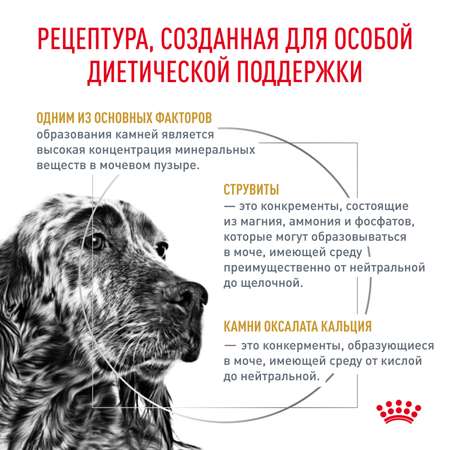 Корм для собак ROYAL CANIN Veterinary Diet Urinary S/O LP 18 при заболеваниях дистального отдела мочевыделительной системы 13кг