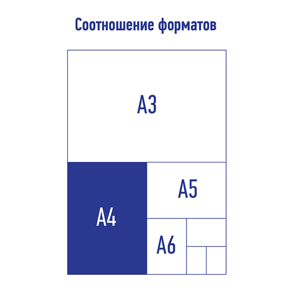 Папка на кольцах BERLINGO А4 - фото 3