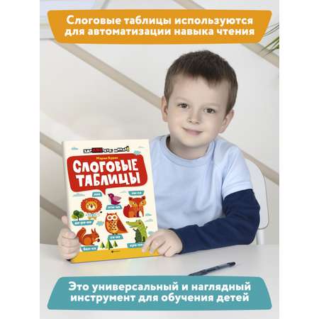 Книга ТД Феникс Слоговые таблицы