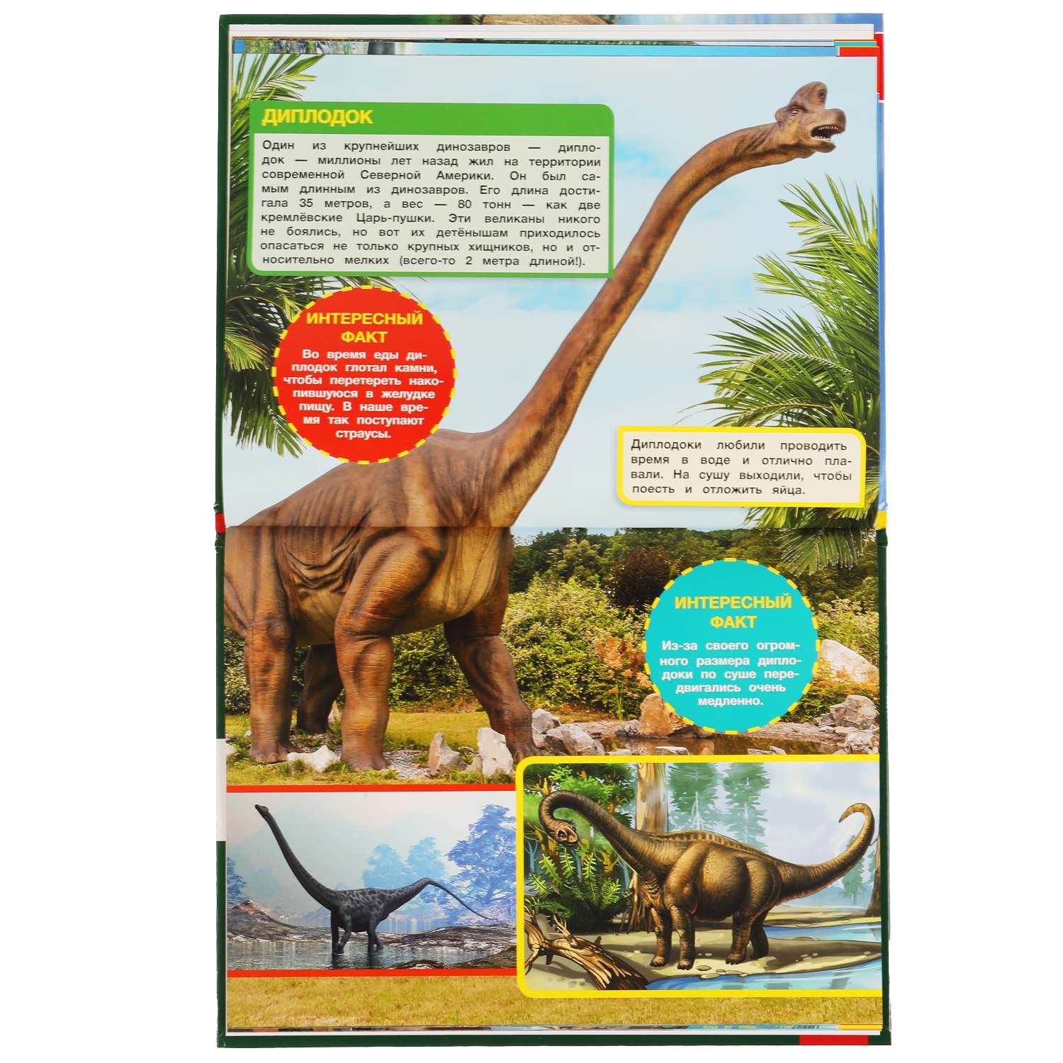 Энциклопедия УМка Динозавры-гиганты А4 с развивающими заданиями - фото 4
