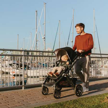 Коляска 2 в 1 UPPAbaby Vista 2018 Gregory Bblue malange