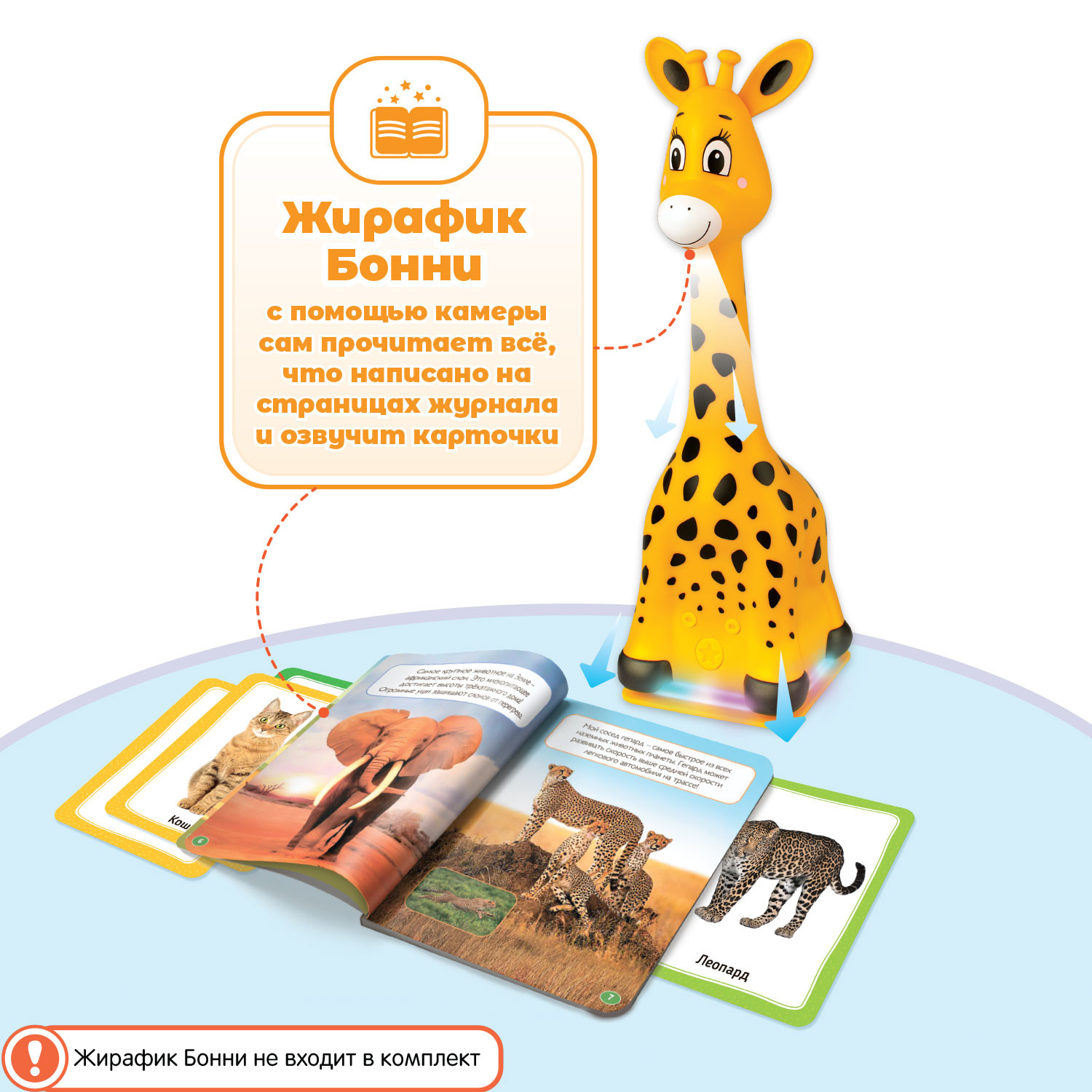 Комплект для Жирафика Бонни BertToys : познавательный журнал + два набора развивающих карточек - фото 3