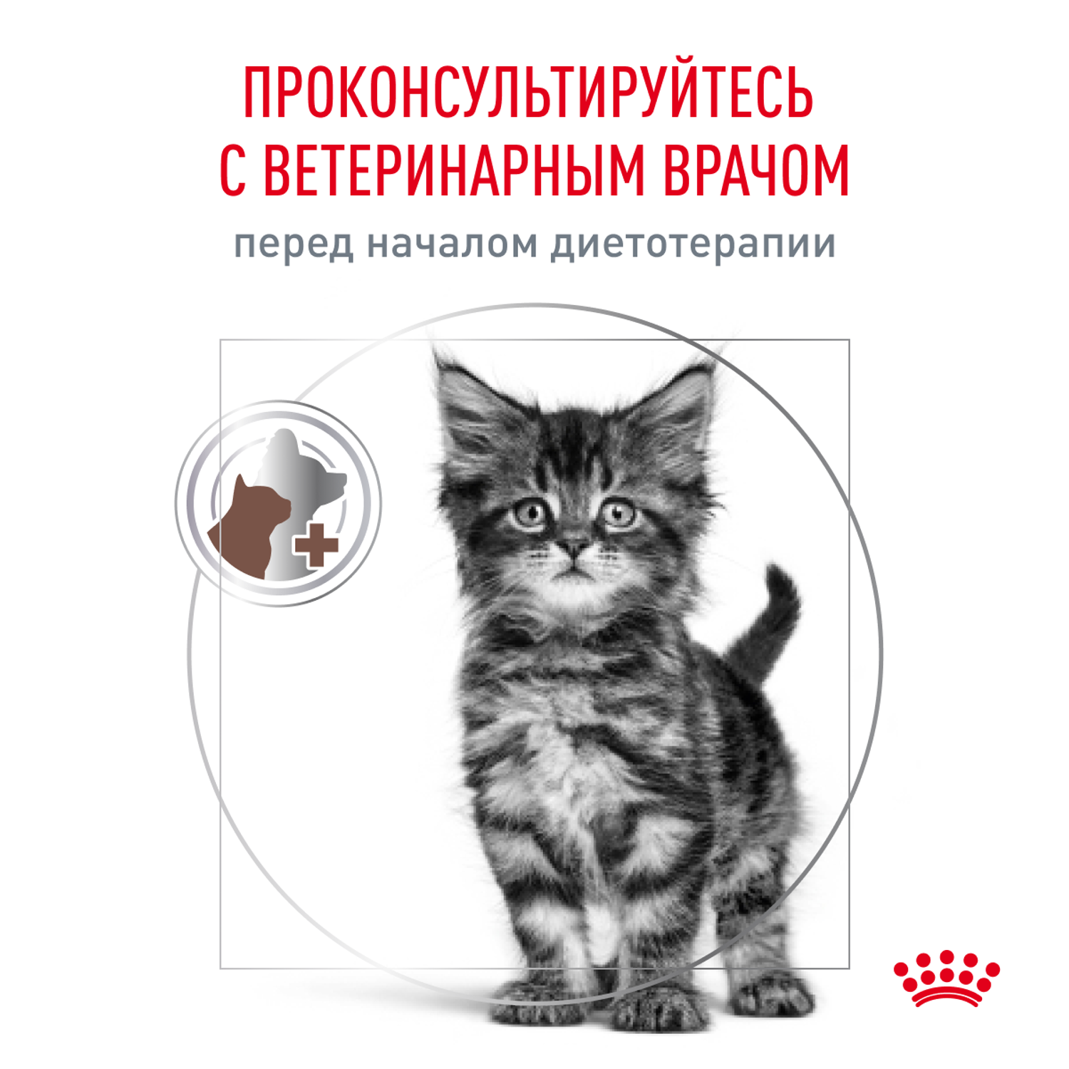 Корм для котят Royal Canin 0.4кг Gastrointestinal Kitten при нарушениях пищеварения сухой - фото 7
