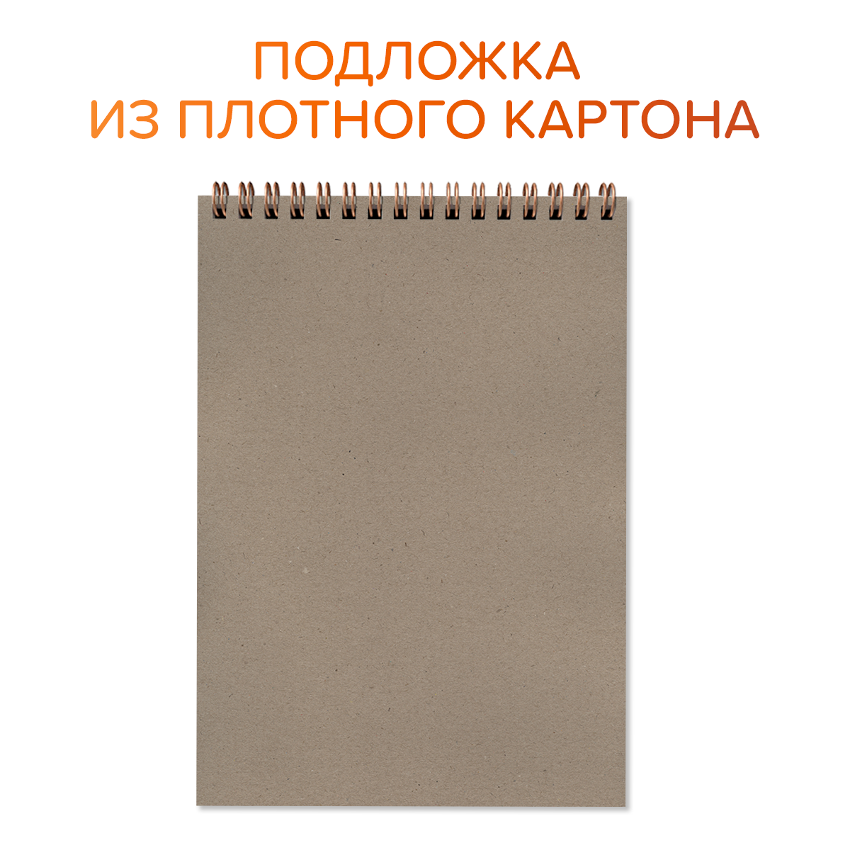 Скетчбук Проф-Пресс для акварели на гребне. Набор из 2 шт. А5 20 л. бумага 200 г/м2 Грация+рыбки кои - фото 5