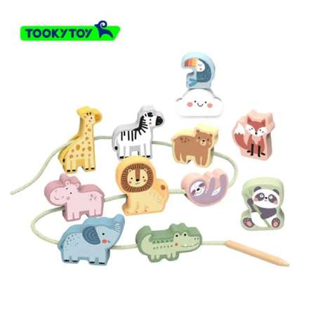 Шнуровка Tooky Toy TJ003