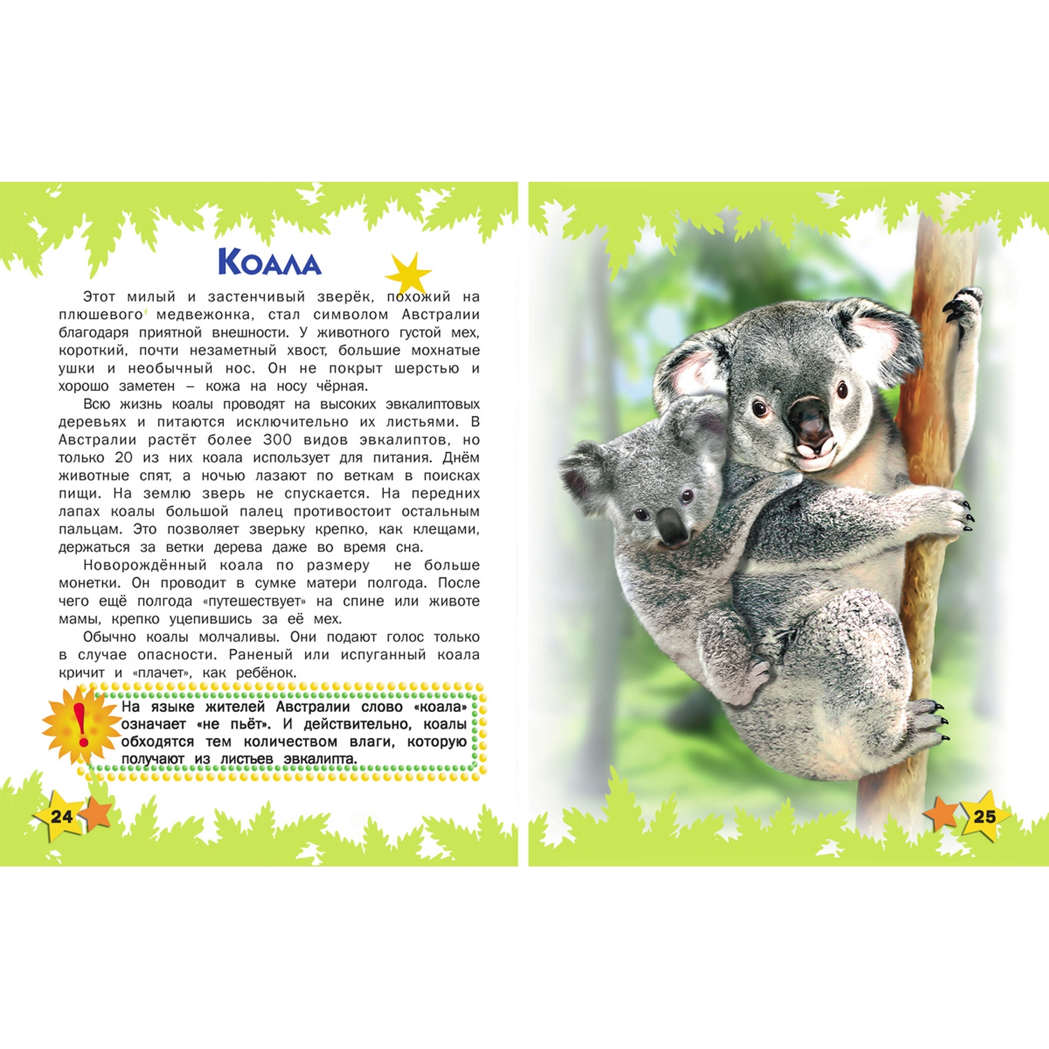 Книга Русич Атлас животных для малышей - фото 5