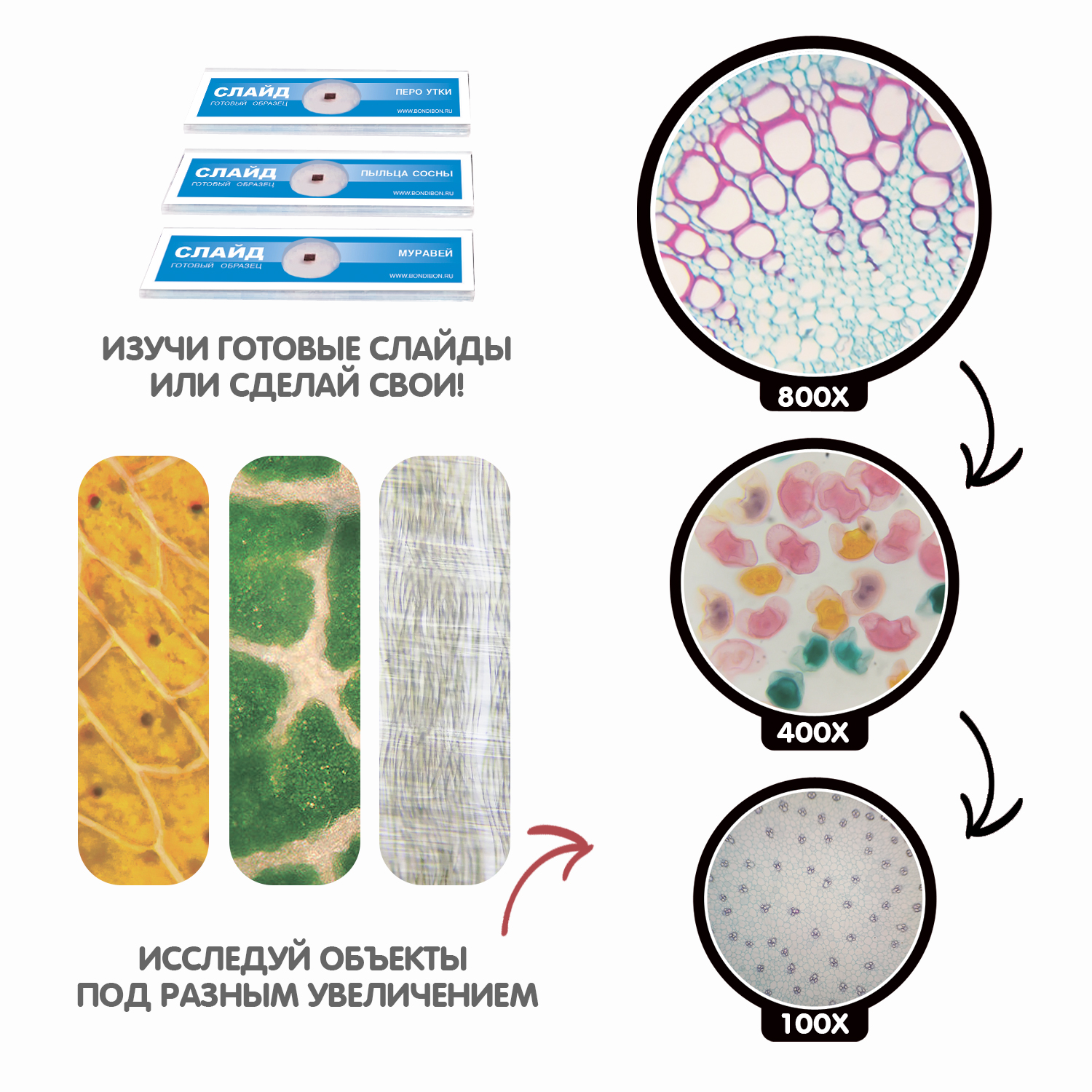 Набор для опытов BONDIBON развивающий обучающий Микроскоп с поворотным окуляром и набором аксессуаров - фото 6