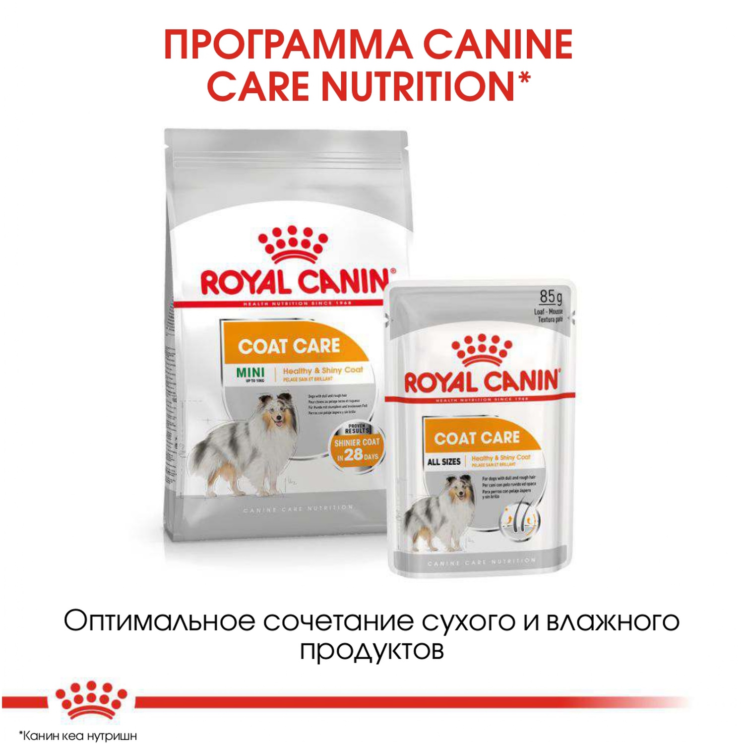 Корм для собак ROYAL CANIN Mini Coat Care мелких пород с тусклой и сухой шерстью 1кг - фото 6