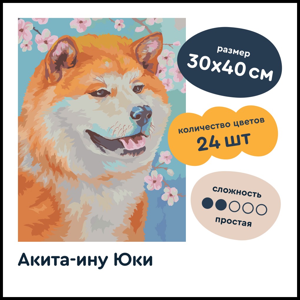 Авторская картина по номерам на холсте Junion Creative Акита-ину Юки 30х40 см - фото 2