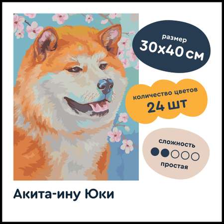 Авторская картина по номерам на холсте Junion Creative Акита-ину Юки 30х40 см