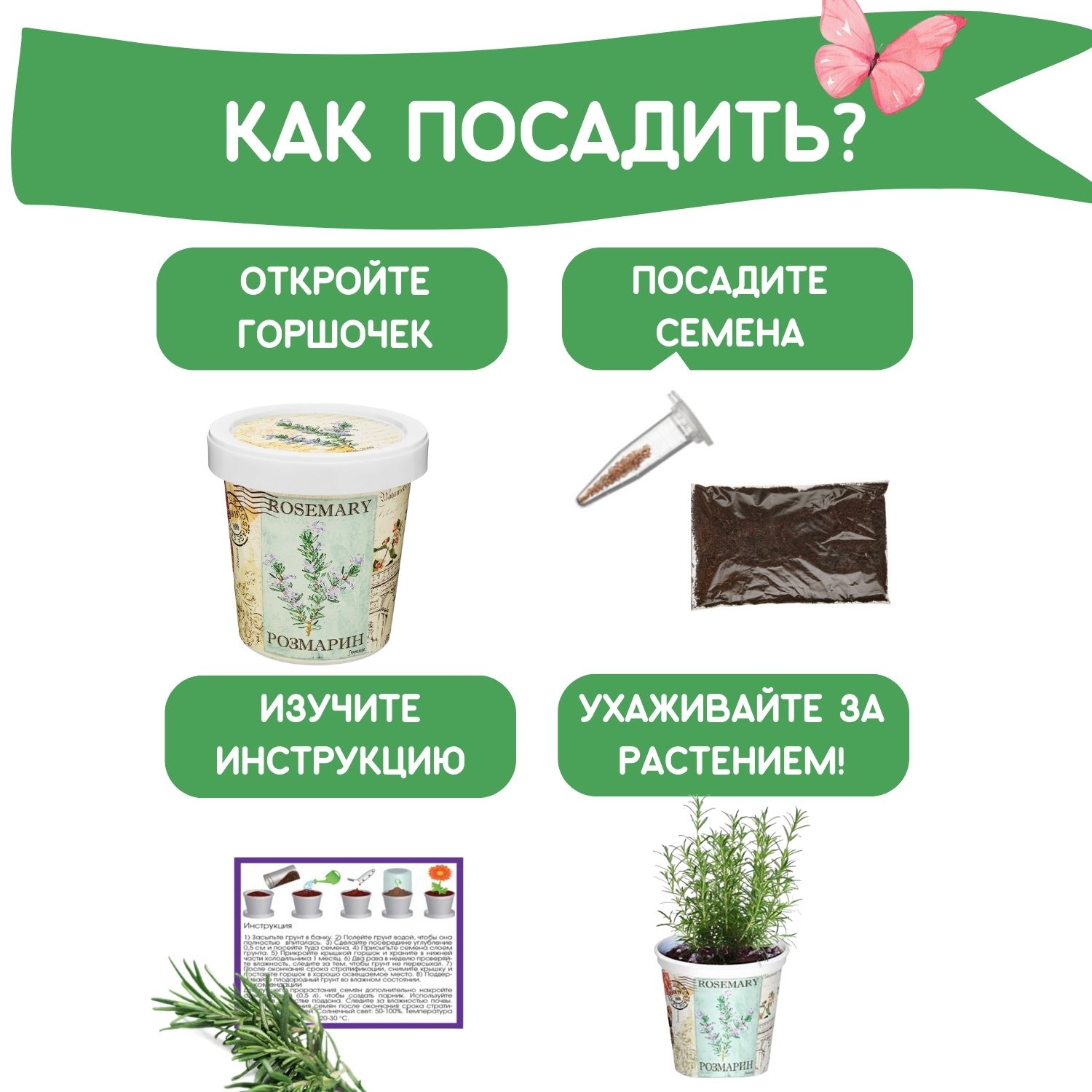 Набор для выращивания растений Rostok Visa Вырасти сам Розмарин в подарочном горшке - фото 4