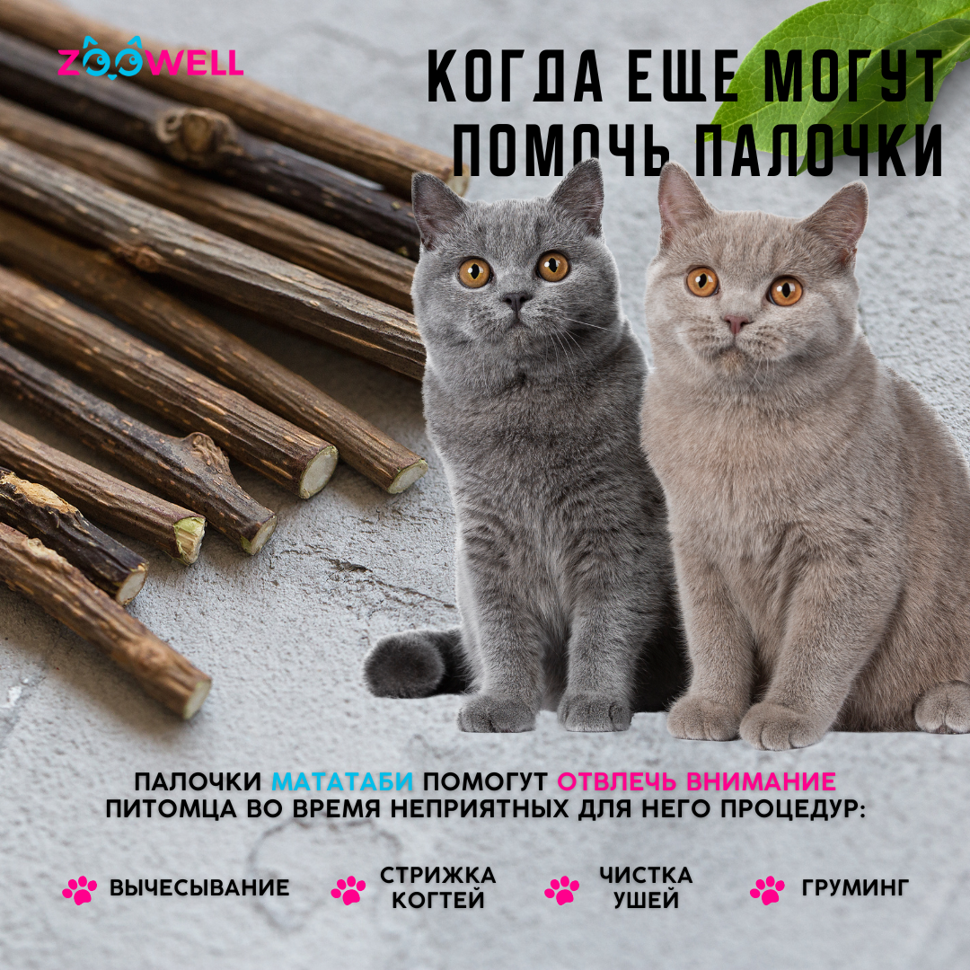 Игрушка для кошек ZDK ZooWell палочки Мататаби Actinidia polygama с эффектом кошачьей мяты для чистки зубов 20шт - фото 6