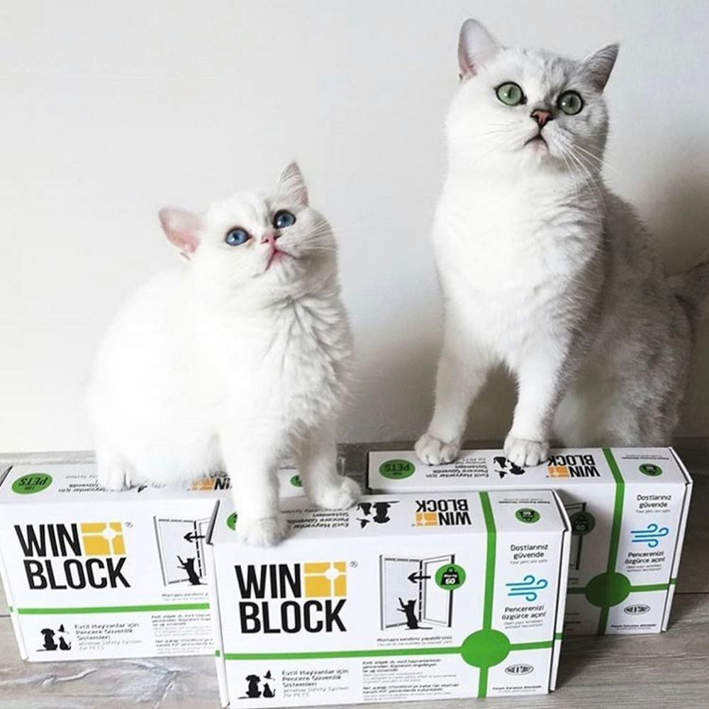 Защитная сетка WINBLOCK на окна для кошек Pets 80х140см коричневый  кронштейн купить по цене 6790 ₽ с доставкой в Москве и России, отзывы, фото