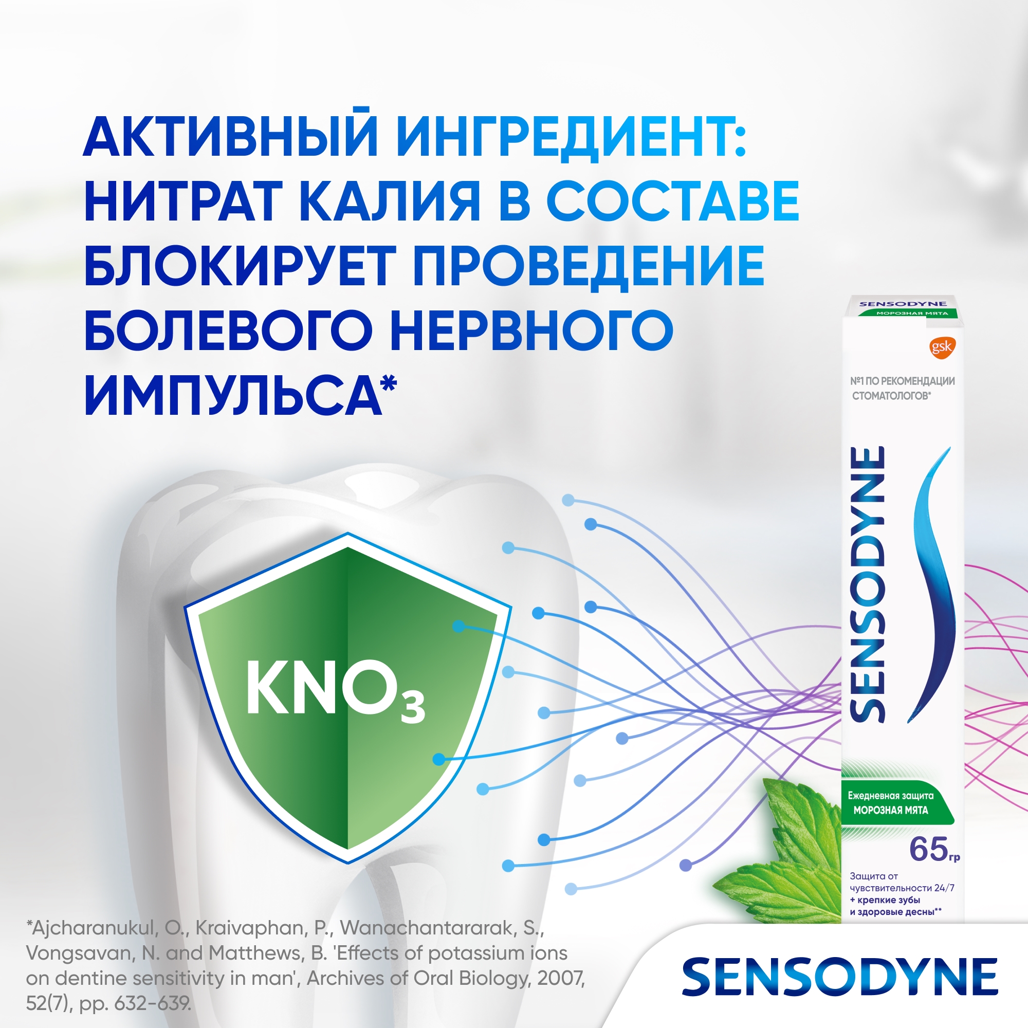 Зубная паста Sensodyne Ежедневная Защита Морозная Мята 65г 2 штуки - фото 3