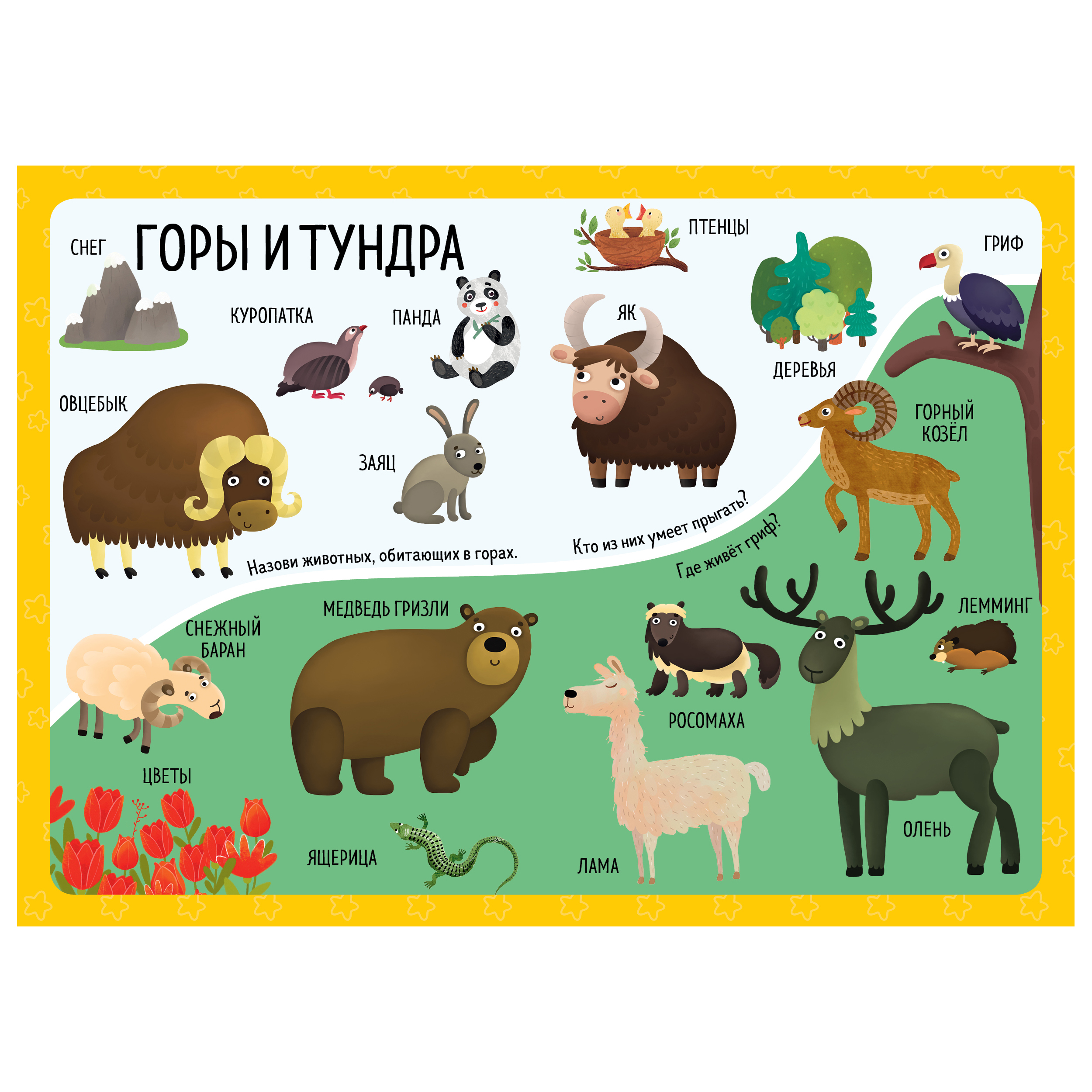 Книга Clever Большая книга малыша Книжки-картонки Животные со всего света - фото 3