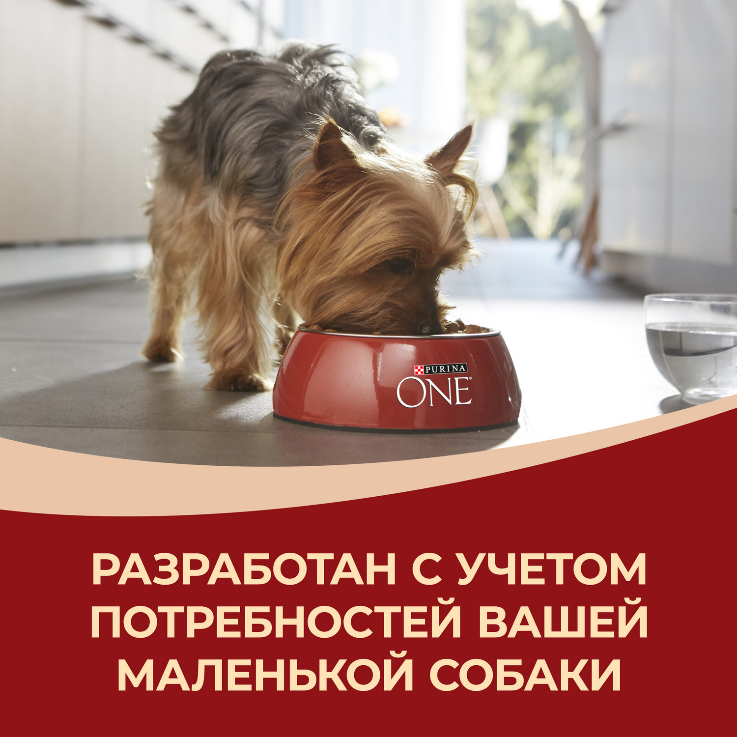 Корм для собак Purina One Mini говядина-рис 600г - фото 10