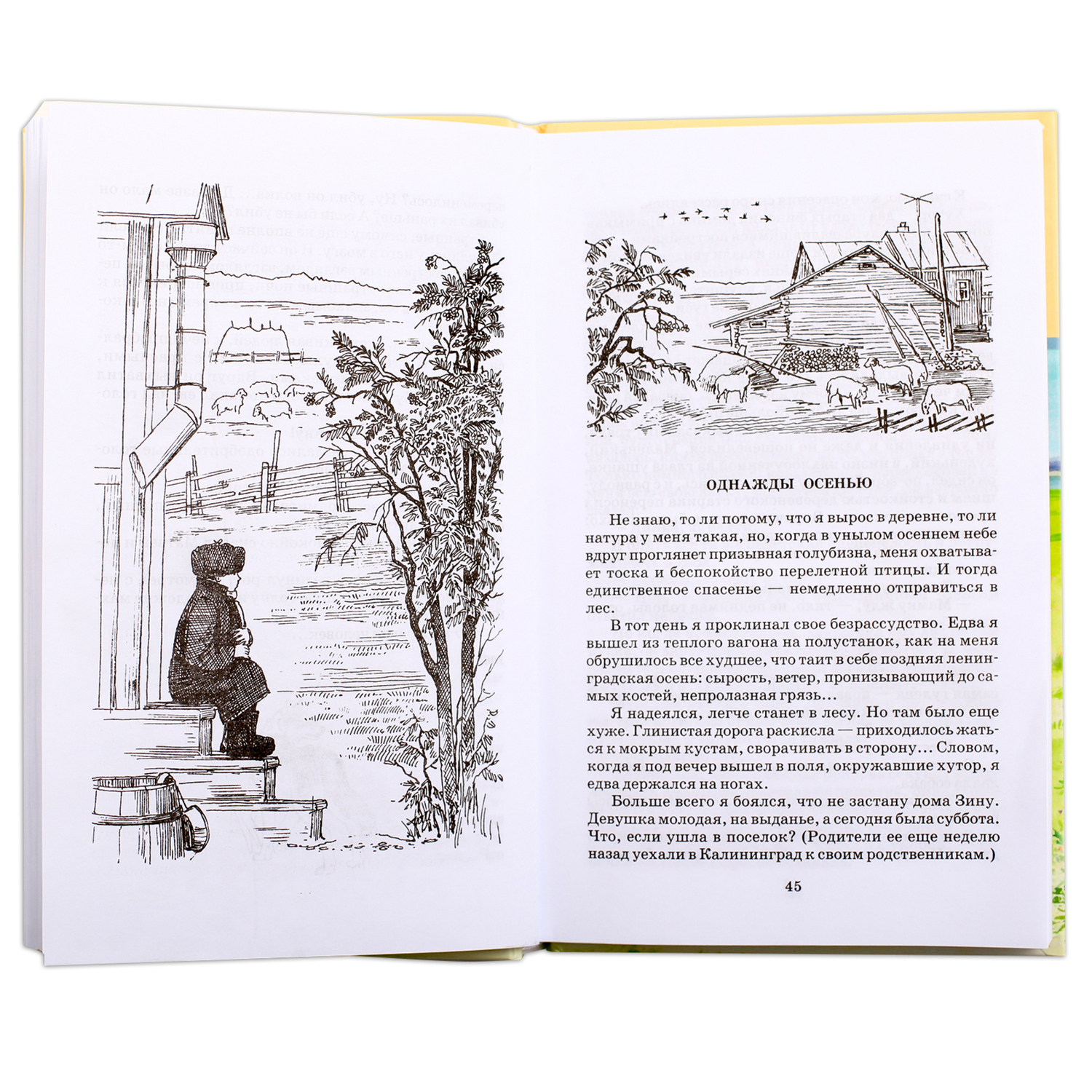 Книга Издательство Детская литератур О чем плачут лошади - фото 3