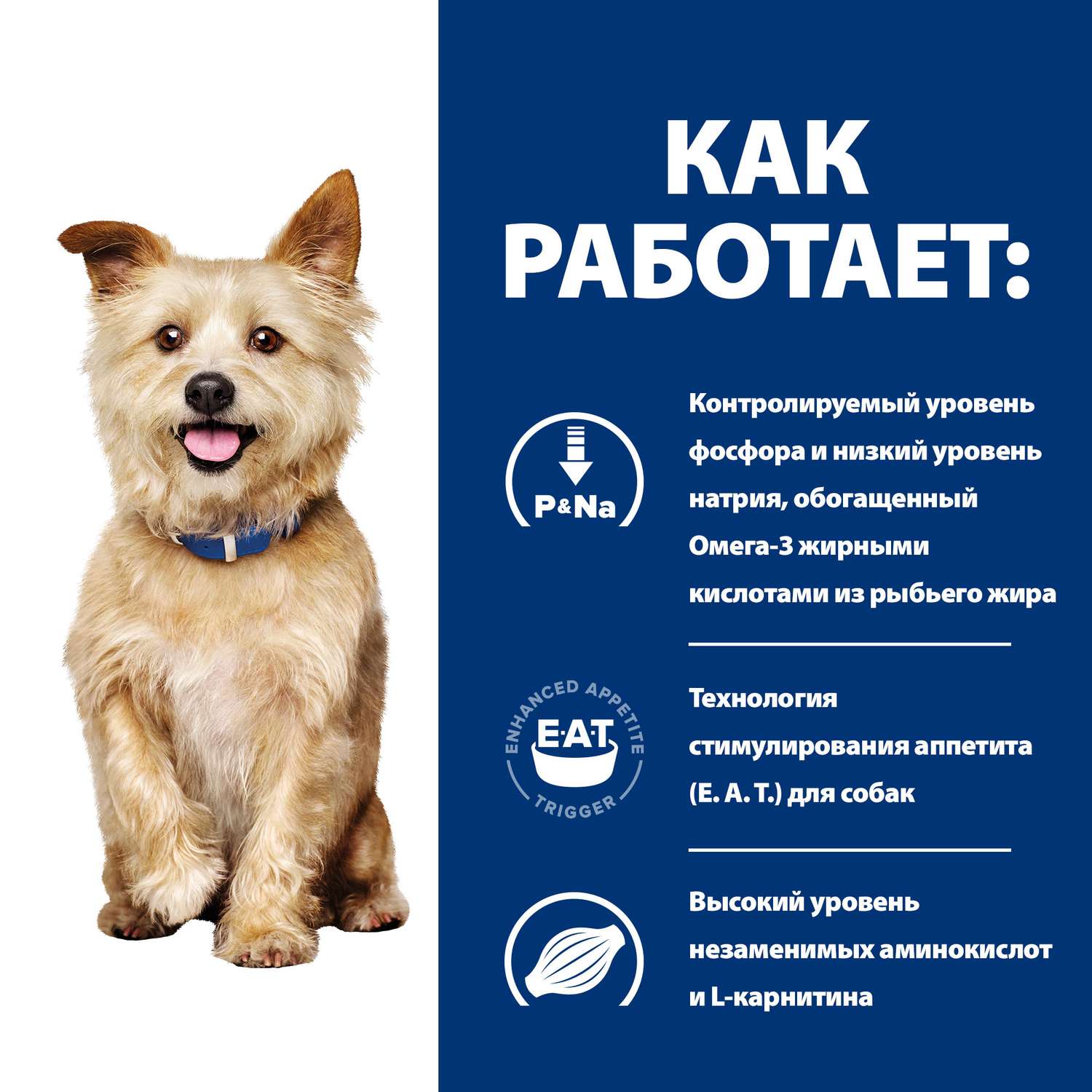 Корм для собак HILLS 1.5кг Prescription Diet k/d при хронической болезни почек сухой - фото 4