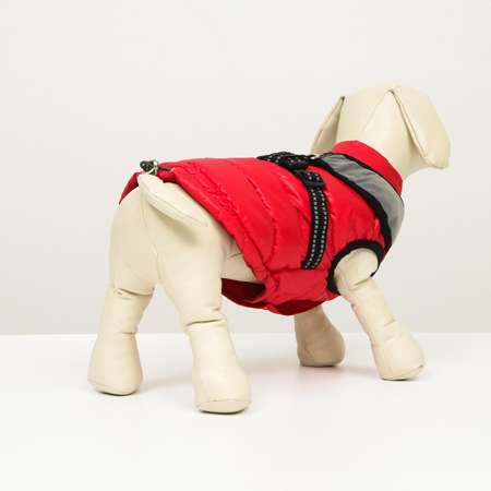 Куртка для собак Sima-Land со светоотражающей шлейкой