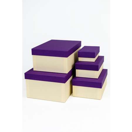 Набор подарочных коробок Cartonnage 5 в 1 Радуга фиолетовый бежевый