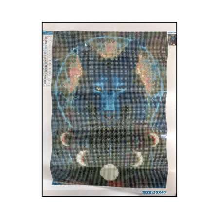 Алмазная мозаика Seichi Волк - ловец снов 30х40 см