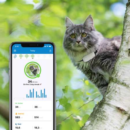 GPS-трекер для кошек Tractive IKATI