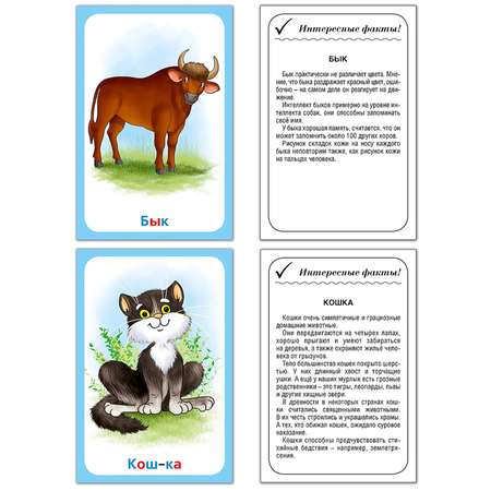 Карточки развивающие РУЗ Ко Домашние животные. Интересные факты о каждом животном