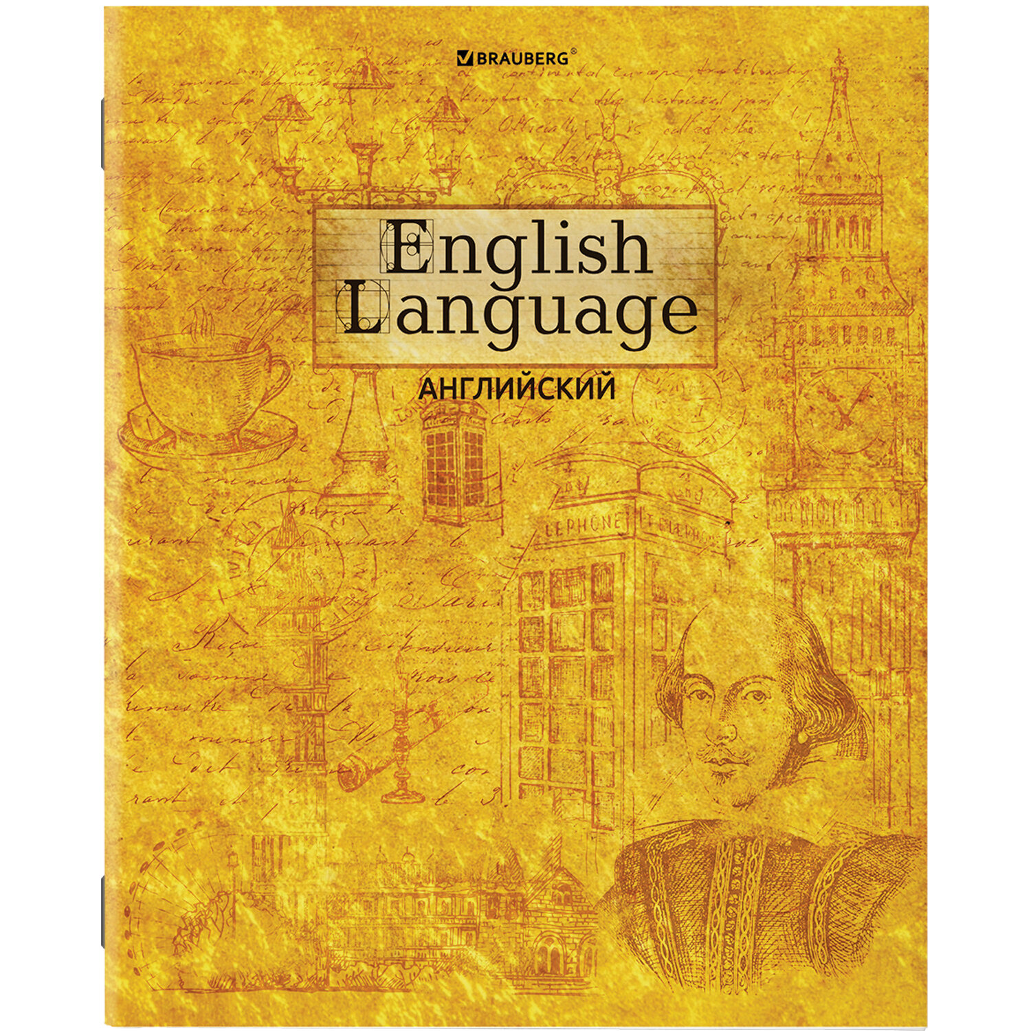 Тетради предметные Brauberg Gold со справочным материалом в клетку/линейку 10 шт 48 л - фото 10