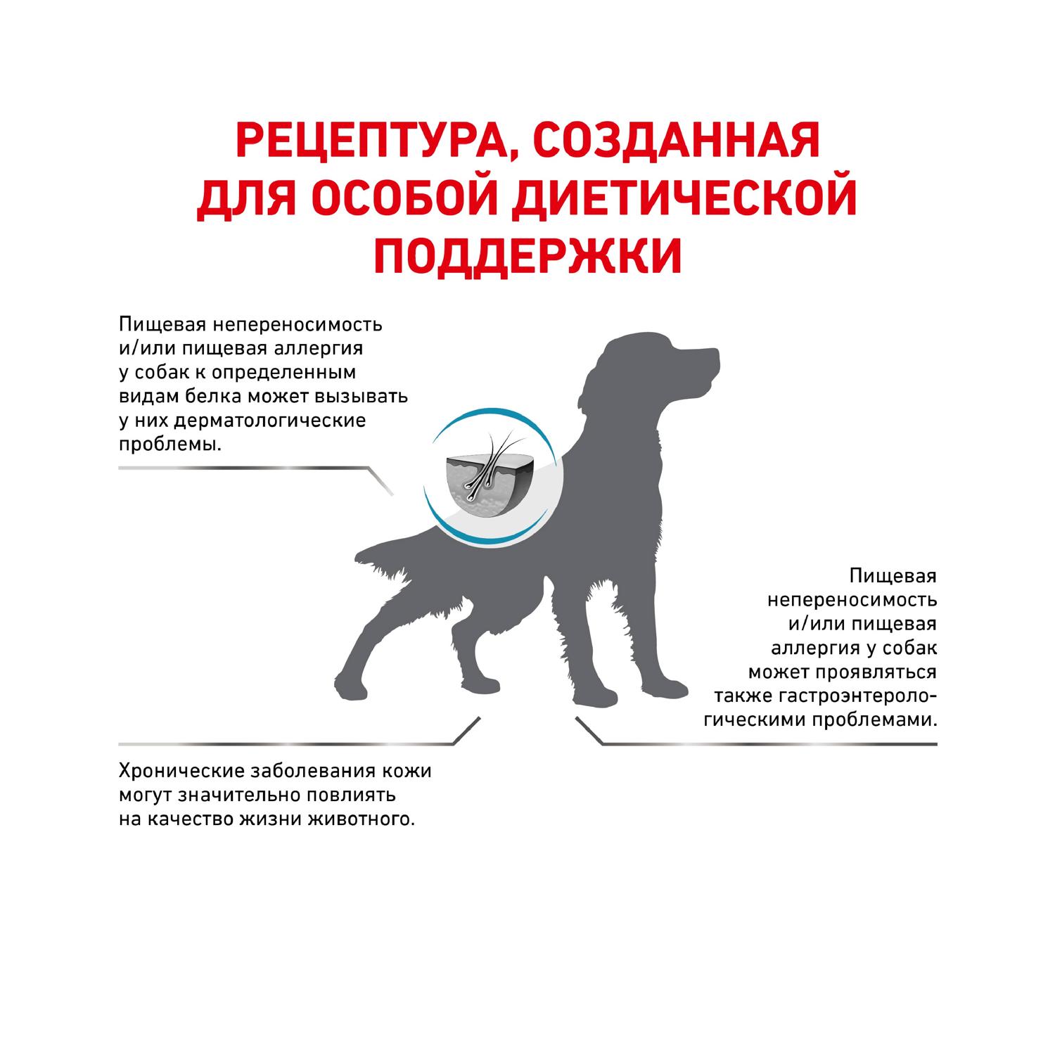 Корм для собак ROYAL CANIN Anallergenic AN18 при аллергии и заболеваниях кожи с острой непереносимостью 3кг - фото 3