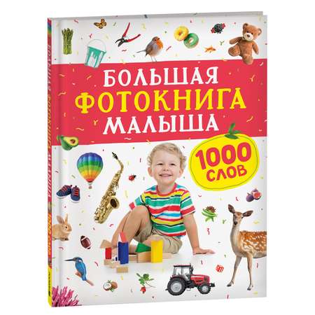 Книга Большая фотокнига малыша 1000слов