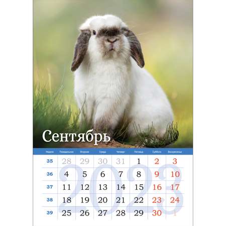Календарь настенный перекидной ND PLAY Символ года Кролик на 2023 год