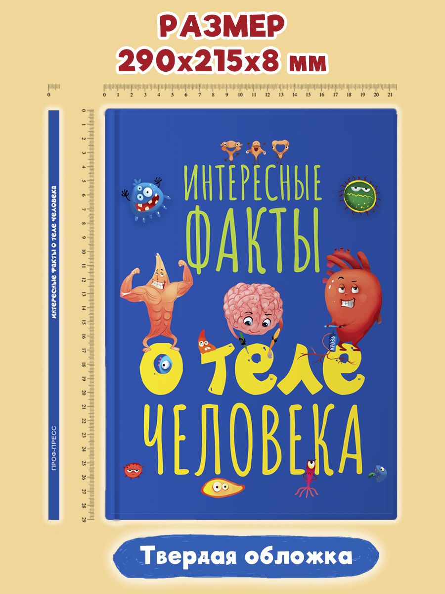 Книга Проф-Пресс Интересные факты о теле человека - фото 7