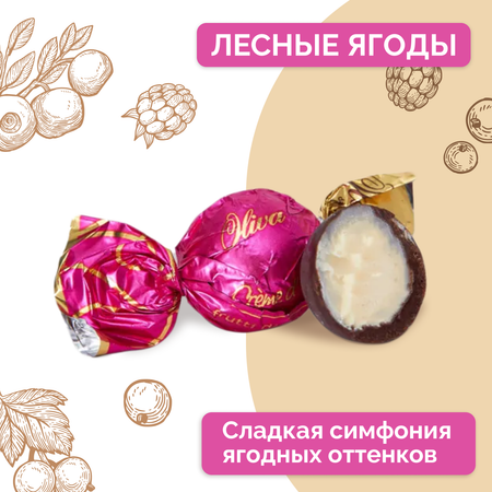 Шоколадные конфеты 250г Oliva Золото Италии со вкусом какао фисташки лесных ягод