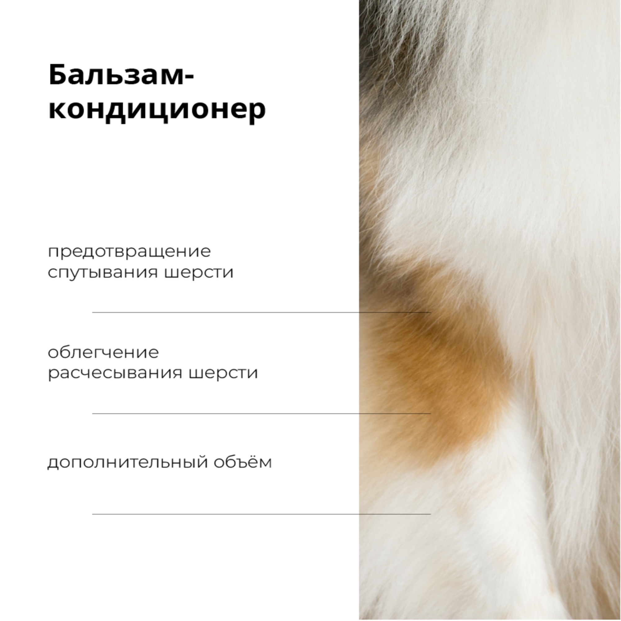 Бальзам Shine and Care ProAnimal универсальный профессиональный структурирующий для собак - фото 3