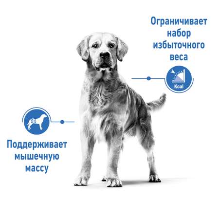 Сухой корм для собак ROYAL CANIN 3 кг (полнорационный)