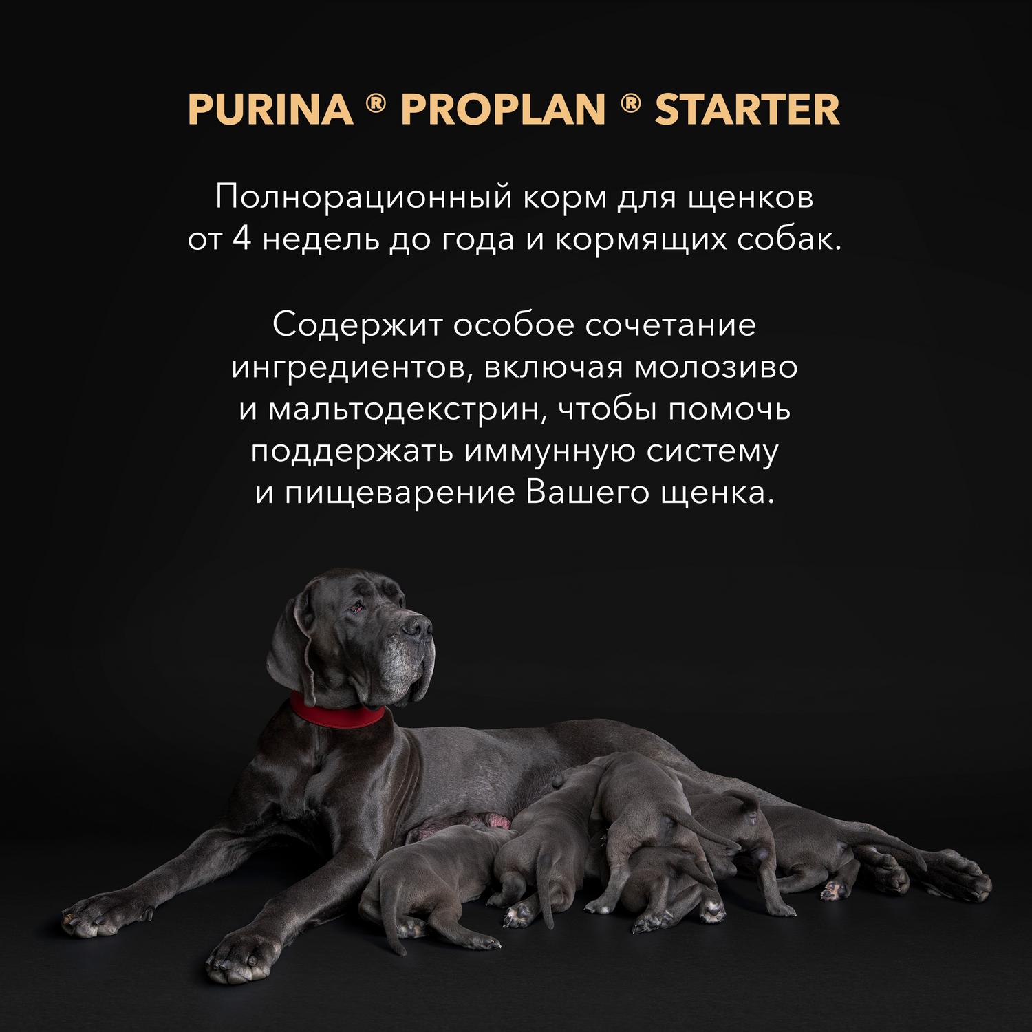 Корм для щенков PRO PLAN Starter крупных пород курица 3кг - фото 5