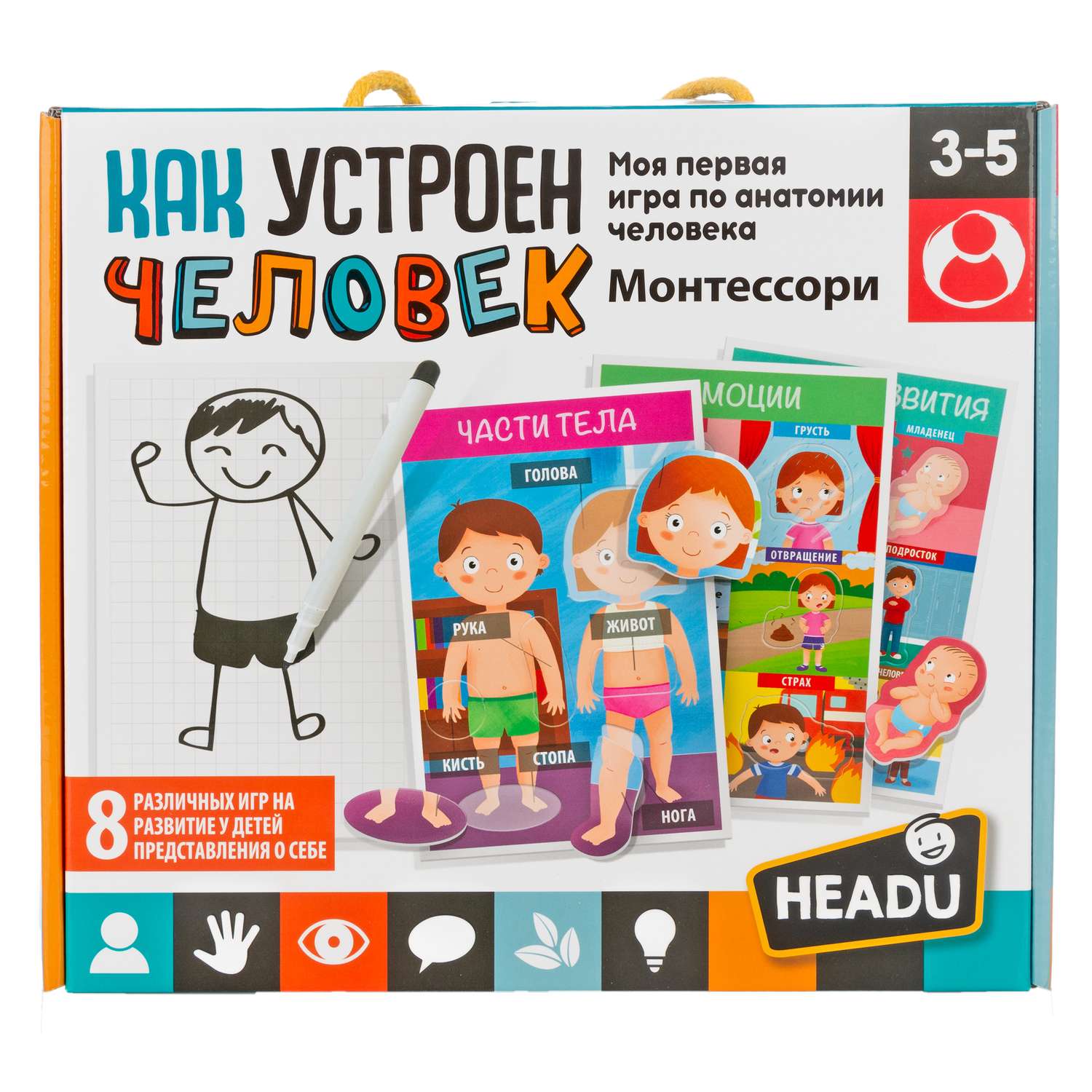 Игра настольная HEADU Как устроен человек RU29181 - фото 1