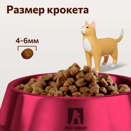Корм сухой Зоогурман Полнорационный сухой корм для кошек Active Говядина и индейка 0.6 кг