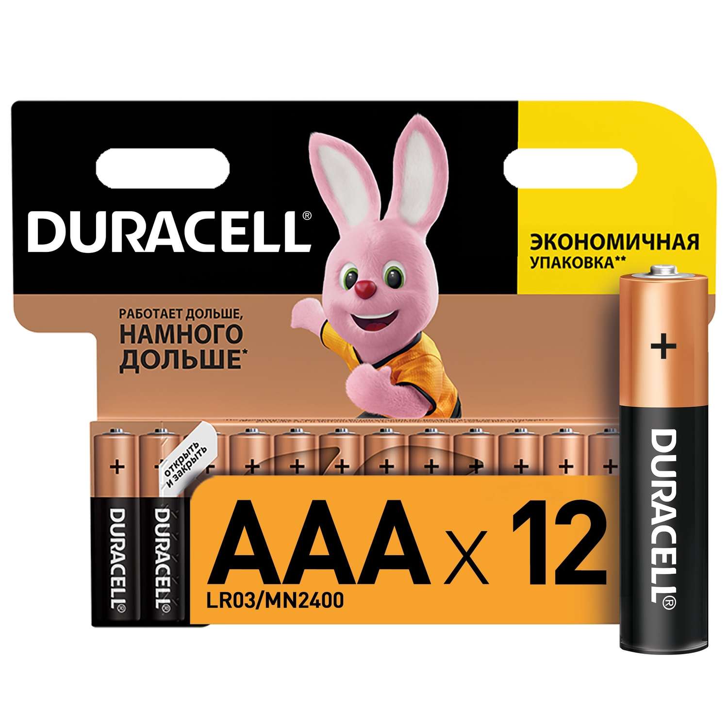 Батарейки Duracell Basic ААA/LR03 2шт - фото 1
