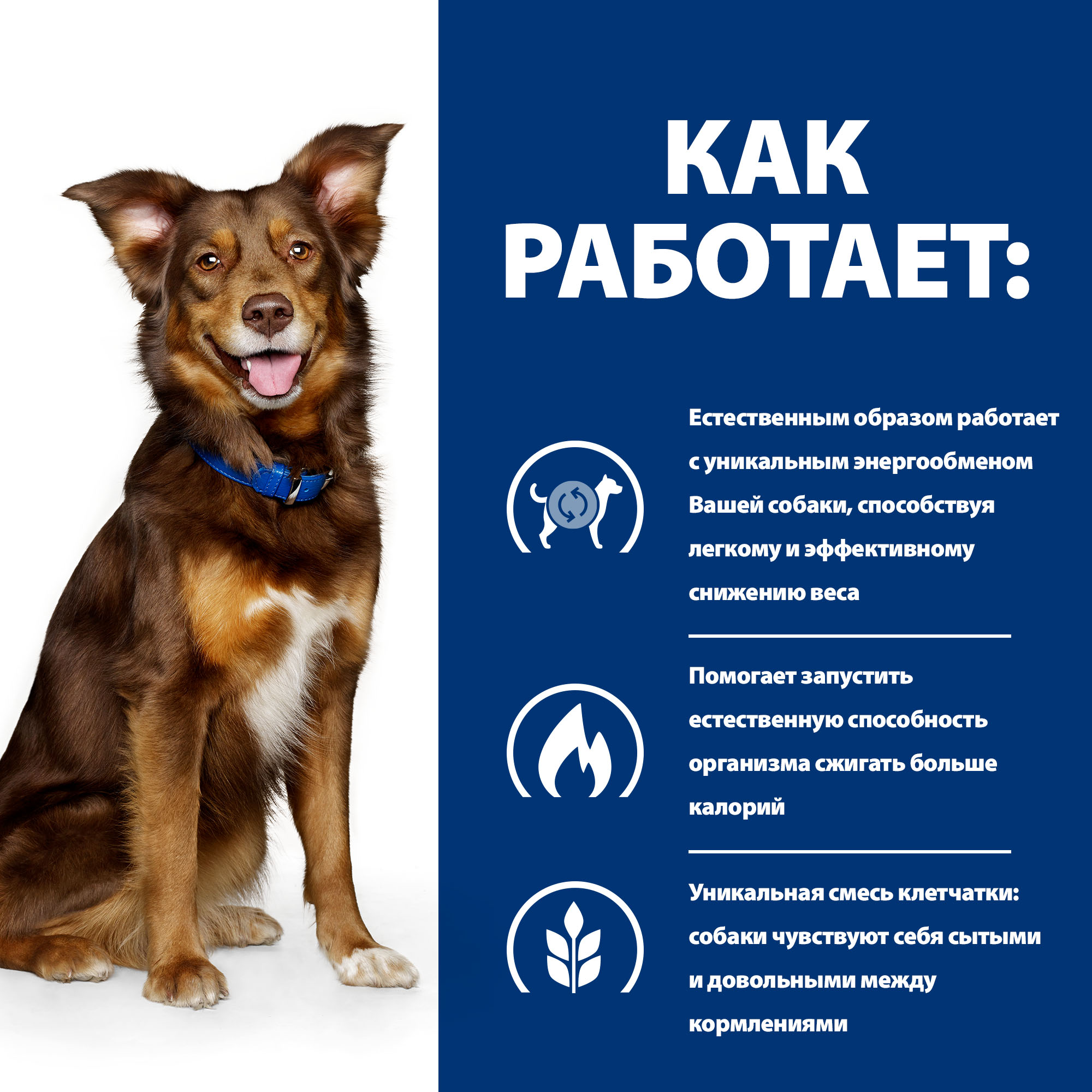 Корм для собак HILLS 1.5кг Prescription Diet Metabolic для снижения и контроля веса ягненок-рис сухой - фото 4