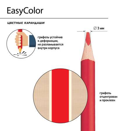 Карандаши цветные Bruno Visconti EasyColor 36 цветов