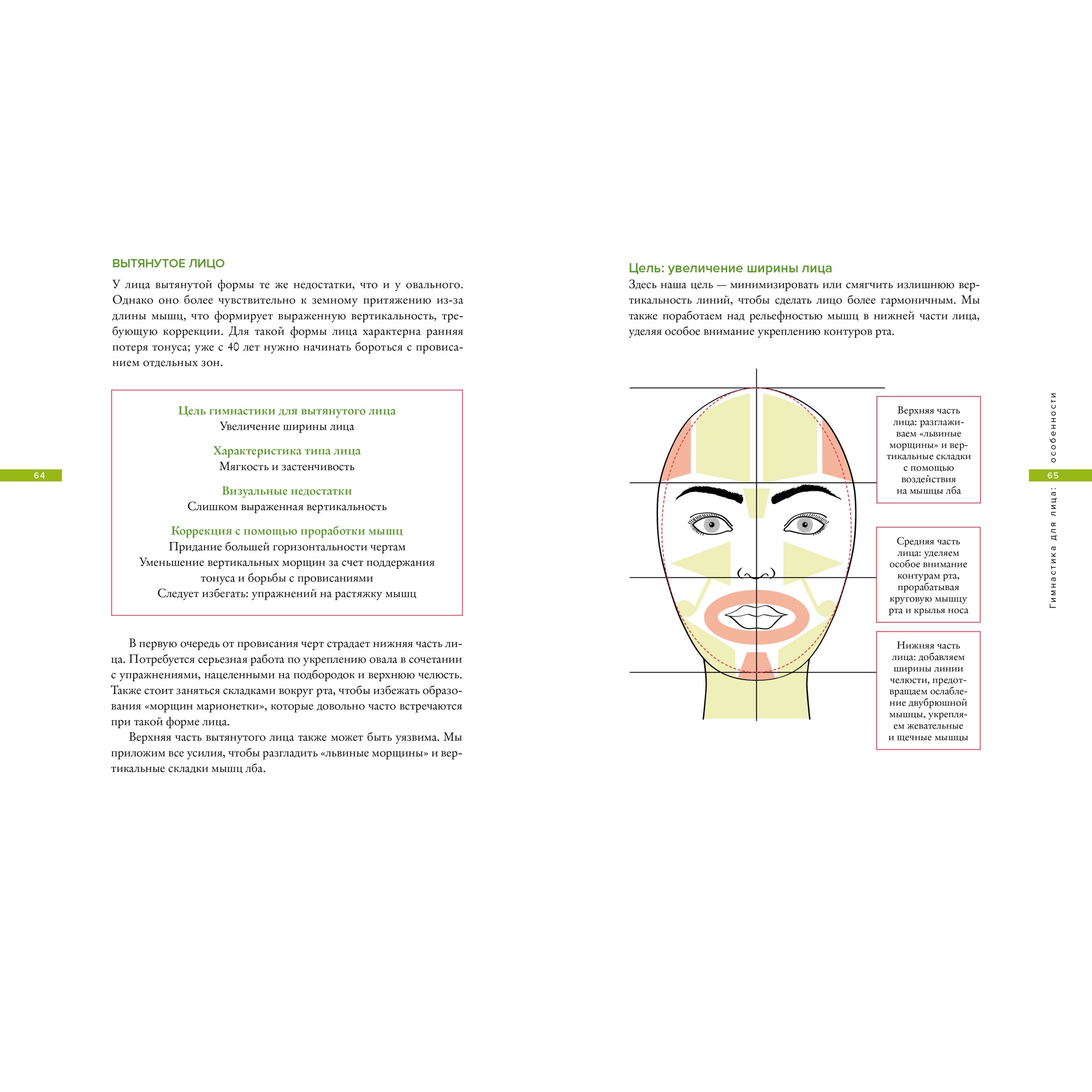 Книга КОЛИБРИ Гимнастика для лица. Натуральный подход к сохранению красоты молодости и здоровья кожи - фото 5