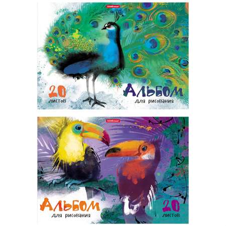 Альбом для рисования ErichKrause Птицы жарких стран А4 20л в ассортименте